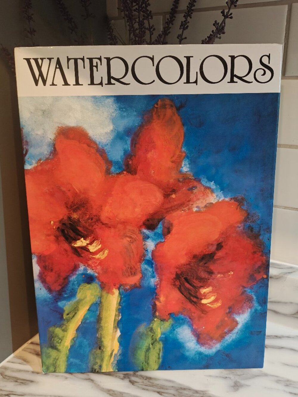 1994 Watercolors Per Amann Vintage Art Book Coffee Table Book Berghaus Verlag